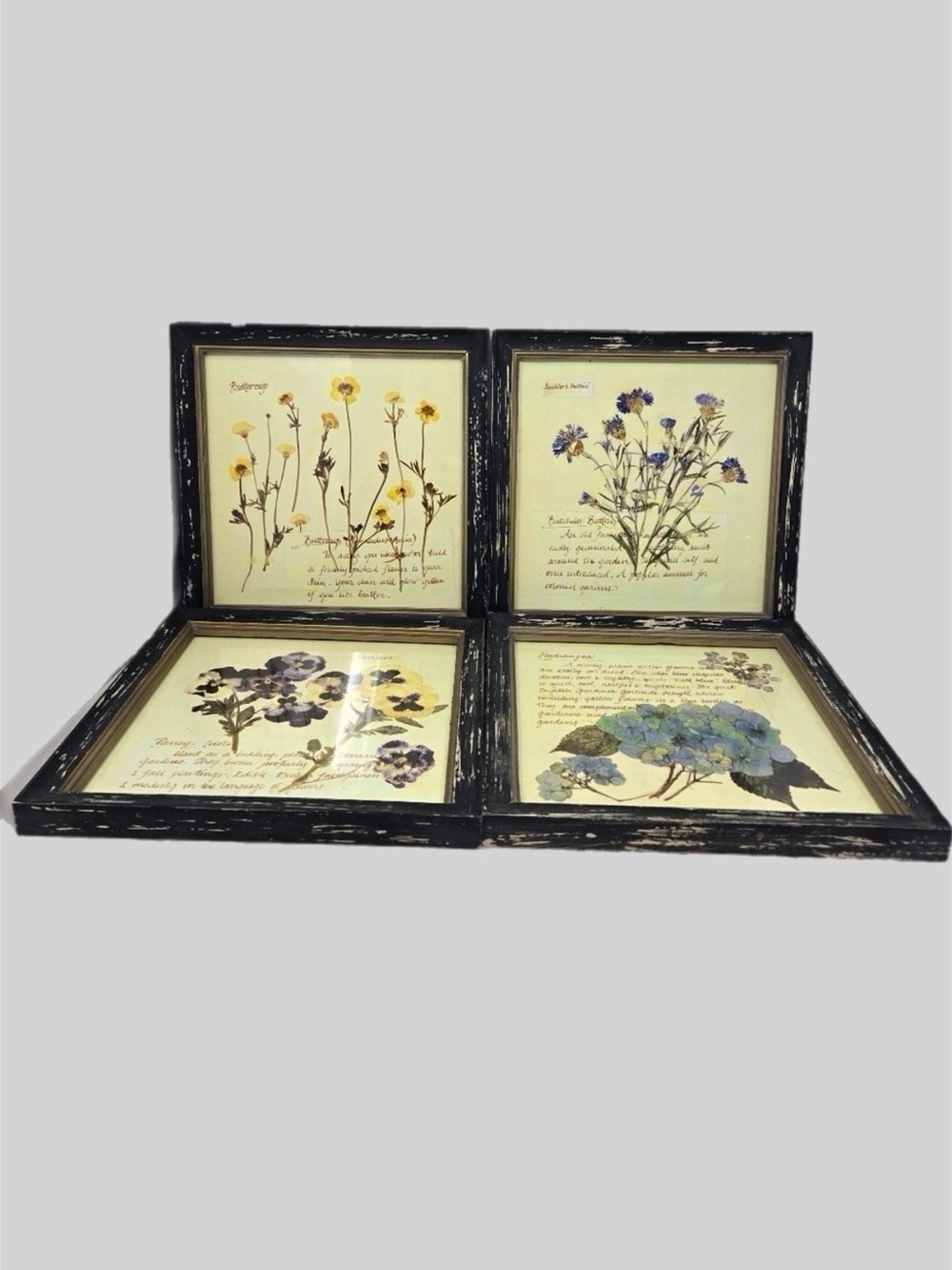 Creative Co-op Set Of 4 Beautifully Handcrafted  Floral Manuscripts Of Flowers